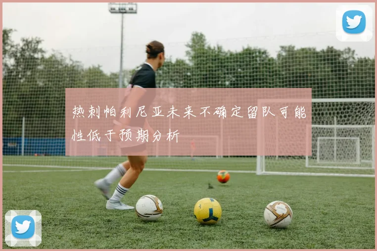 热刺帕利尼亚未来不确定留队可能性低于预期分析