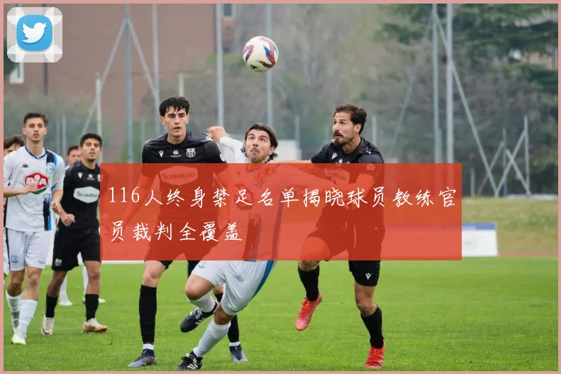 116人终身禁足名单揭晓球员教练官员裁判全覆盖