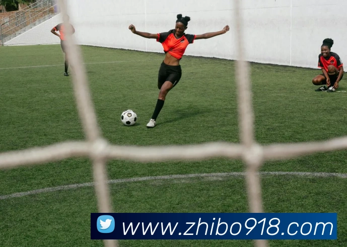 智博体育平台平台生态图